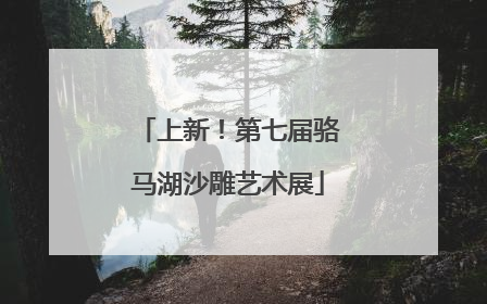 上新！第七届骆马湖沙雕艺术展