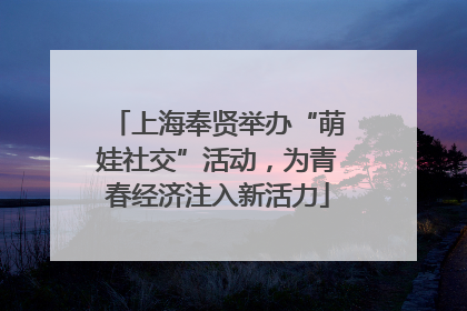 上海奉贤举办“萌娃社交”活动，为青春经济注入新活力