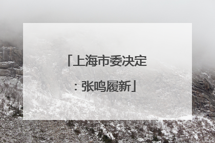 上海市委决定：张鸣履新