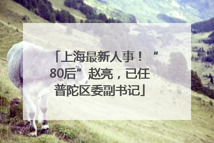 上海最新人事！“80后”赵亮，已任普陀区委副书记