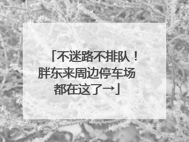 不迷路不排队！胖东来周边停车场都在这了→