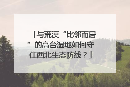 与荒漠“比邻而居”的高台湿地如何守住西北生态防线？