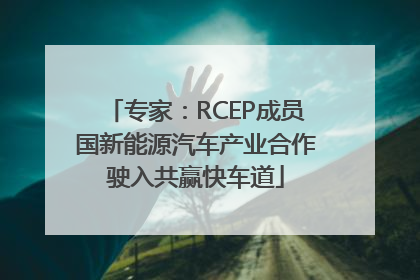 专家：RCEP成员国新能源汽车产业合作驶入共赢快车道