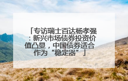 专访瑞士百达杨孝强：新兴市场债券投资价值凸显，中国债券适合作为“稳定器”
