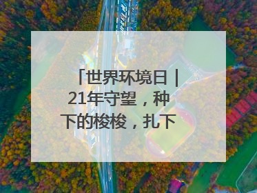 世界环境日｜21年守望，种下的梭梭，扎下家园的根与梦