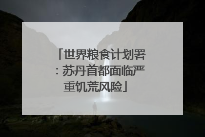 世界粮食计划署：苏丹首都面临严重饥荒风险