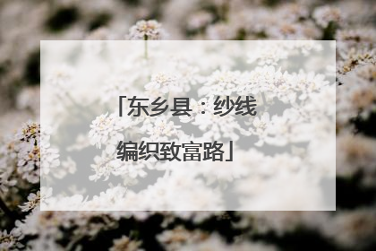 东乡县：纱线编织致富路