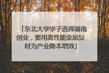 东北大学学子选择湖南创业，要用高性能金属复材为产业降本增效
