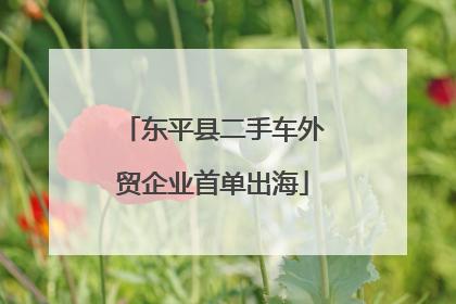 东平县二手车外贸企业首单出海
