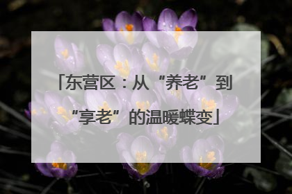 东营区：从“养老”到“享老”的温暖蝶变