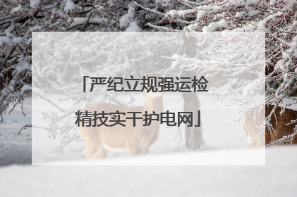 严纪立规强运检 精技实干护电网