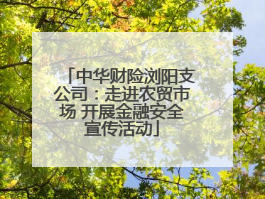 中华财险浏阳支公司：走进农贸市场 开展金融安全宣传活动