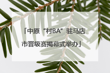 中原“村BA”驻马店市晋级赛揭幕式举办