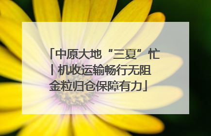 中原大地“三夏”忙丨机收运输畅行无阻 金粒归仓保障有力