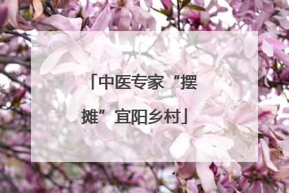 中医专家“摆摊”宜阳乡村