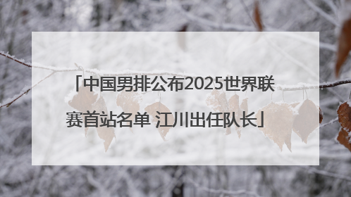 中国男排公布2025世界联赛首站名单 江川出任队长