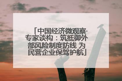 中国经济微观察·专家谈构：筑抵御外部风险制度防线 为民营企业保驾护航