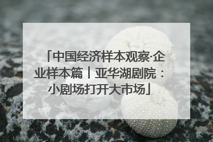 中国经济样本观察·企业样本篇︱亚华湖剧院：小剧场打开大市场