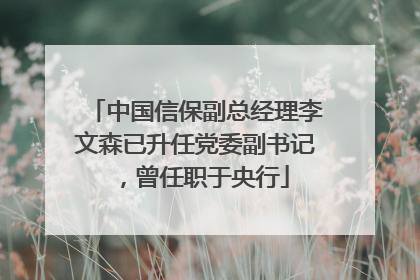 中国信保副总经理李文森已升任党委副书记，曾任职于央行