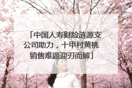 中国人寿财险涟源支公司助力，十甲村黄桃销售难题迎刃而解