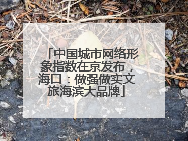 中国城市网络形象指数在京发布，海口：做强做实文旅海滨大品牌