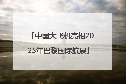 中国大飞机亮相2025年巴黎国际航展