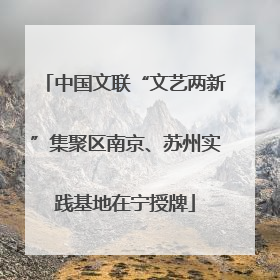 中国文联“文艺两新”集聚区南京、苏州实践基地在宁授牌