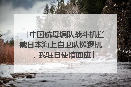 中国航母编队战斗机拦截日本海上自卫队巡逻机，我驻日使馆回应