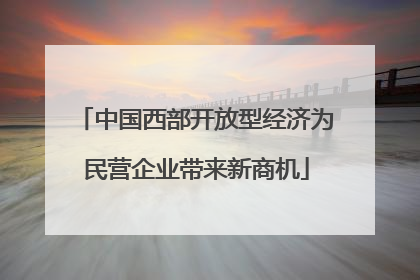 中国西部开放型经济为民营企业带来新商机