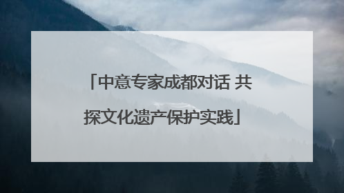 中意专家成都对话 共探文化遗产保护实践