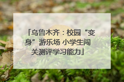 乌鲁木齐：校园“变身”游乐场 小学生闯关测评学习能力