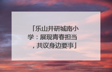 乐山井研城南小学：展现青春担当，共议身边要事