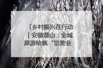 乡村振兴在行动｜安徽潜山：全域旅游绘就“景美业兴民富”新画卷
