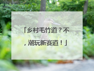 乡村毛竹道？不，潮玩新赛道！