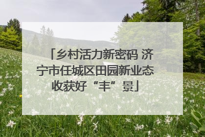 乡村活力新密码 济宁市任城区田园新业态收获好“丰”景