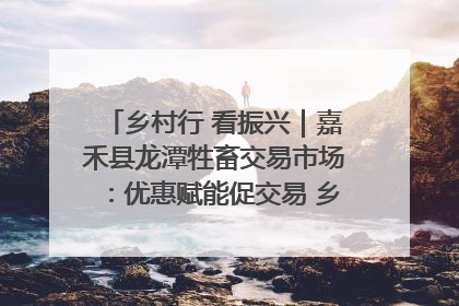 乡村行 看振兴｜嘉禾县龙潭牲畜交易市场：优惠赋能促交易 乡村振兴添动能