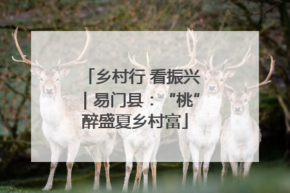 乡村行 看振兴｜易门县：“桃”醉盛夏乡村富