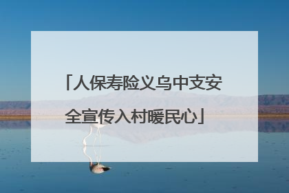 人保寿险义乌中支安全宣传入村暖民心