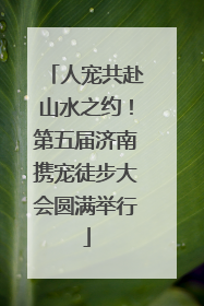 人宠共赴山水之约！第五届济南携宠徒步大会圆满举行