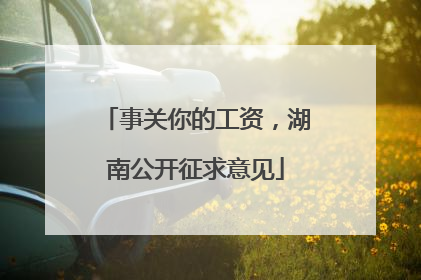 事关你的工资，湖南公开征求意见