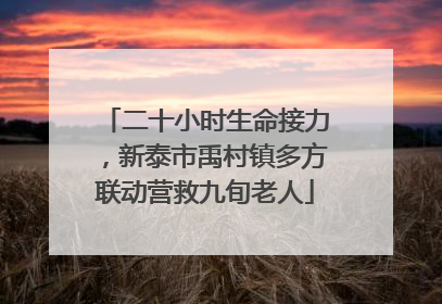 二十小时生命接力，新泰市禹村镇多方联动营救九旬老人