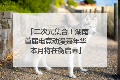 二次元集合！湖南首届电竞动漫嘉年华本月将在衡启幕