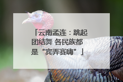 云南孟连：跳起团结舞 各民族都是“宾弄赛嗨”