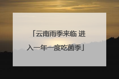 云南雨季来临 进入一年一度吃菌季