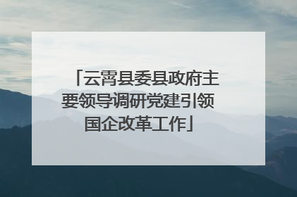 云霄县委县政府主要领导调研党建引领国企改革工作