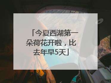 今夏西湖第一朵荷花开啦，比去年早5天
