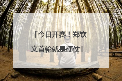 今日开赛！郑钦文首轮就是硬仗