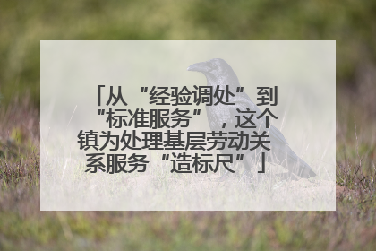 从“经验调处”到“标准服务”，这个镇为处理基层劳动关系服务“造标尺”
