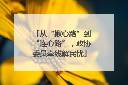 从“揪心路”到“连心路”，政协委员牵线解民忧