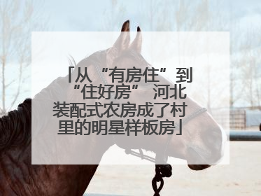 从“有房住”到“住好房” 河北装配式农房成了村里的明星样板房